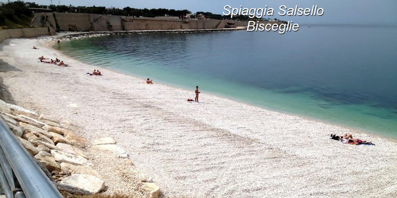 B&B La Baia Sea Rooms Bisceglie Kültér fotó